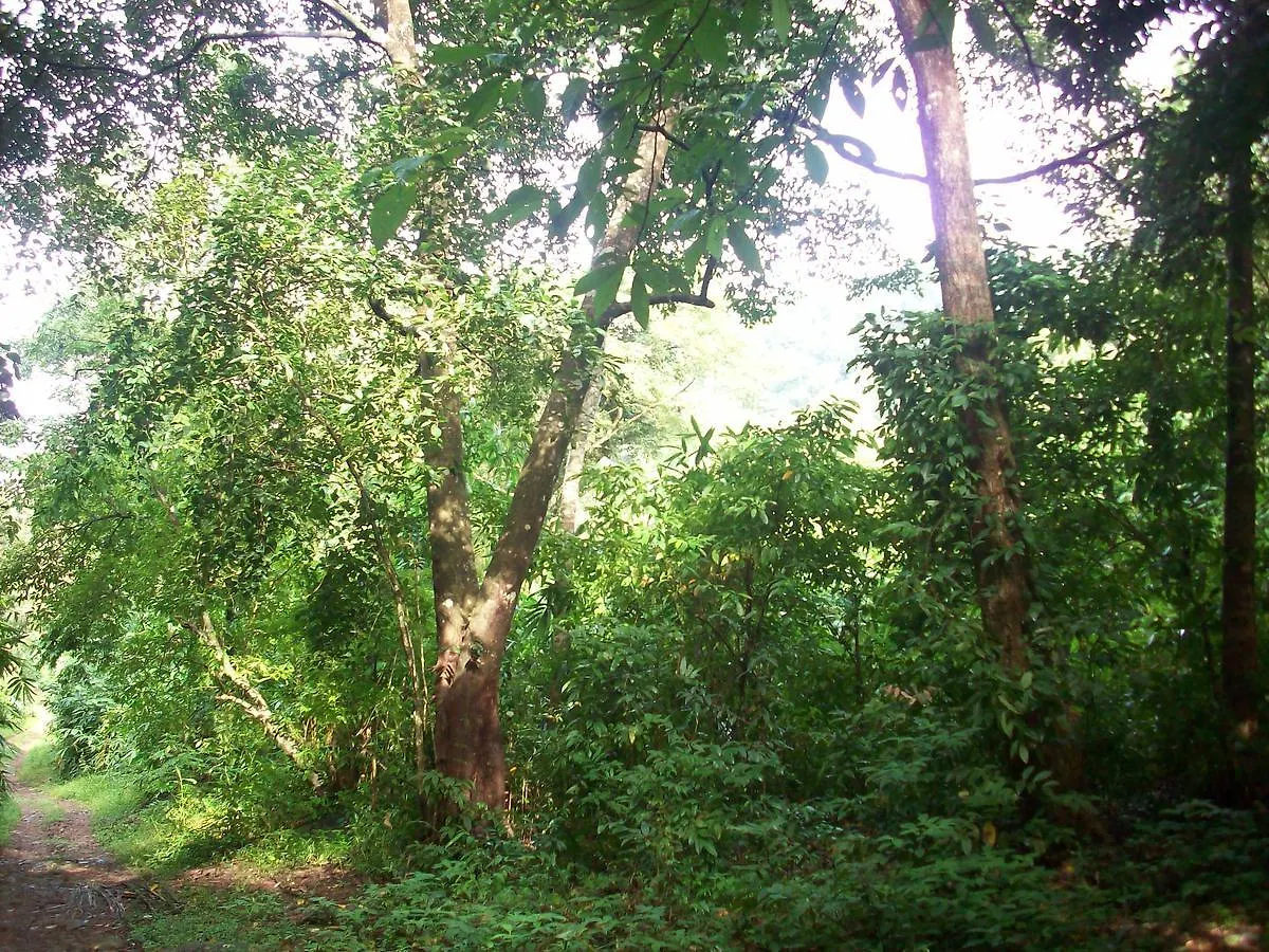 Great Hornbill Serviced Villa , Nilambur Kalikavu Θέρετρο